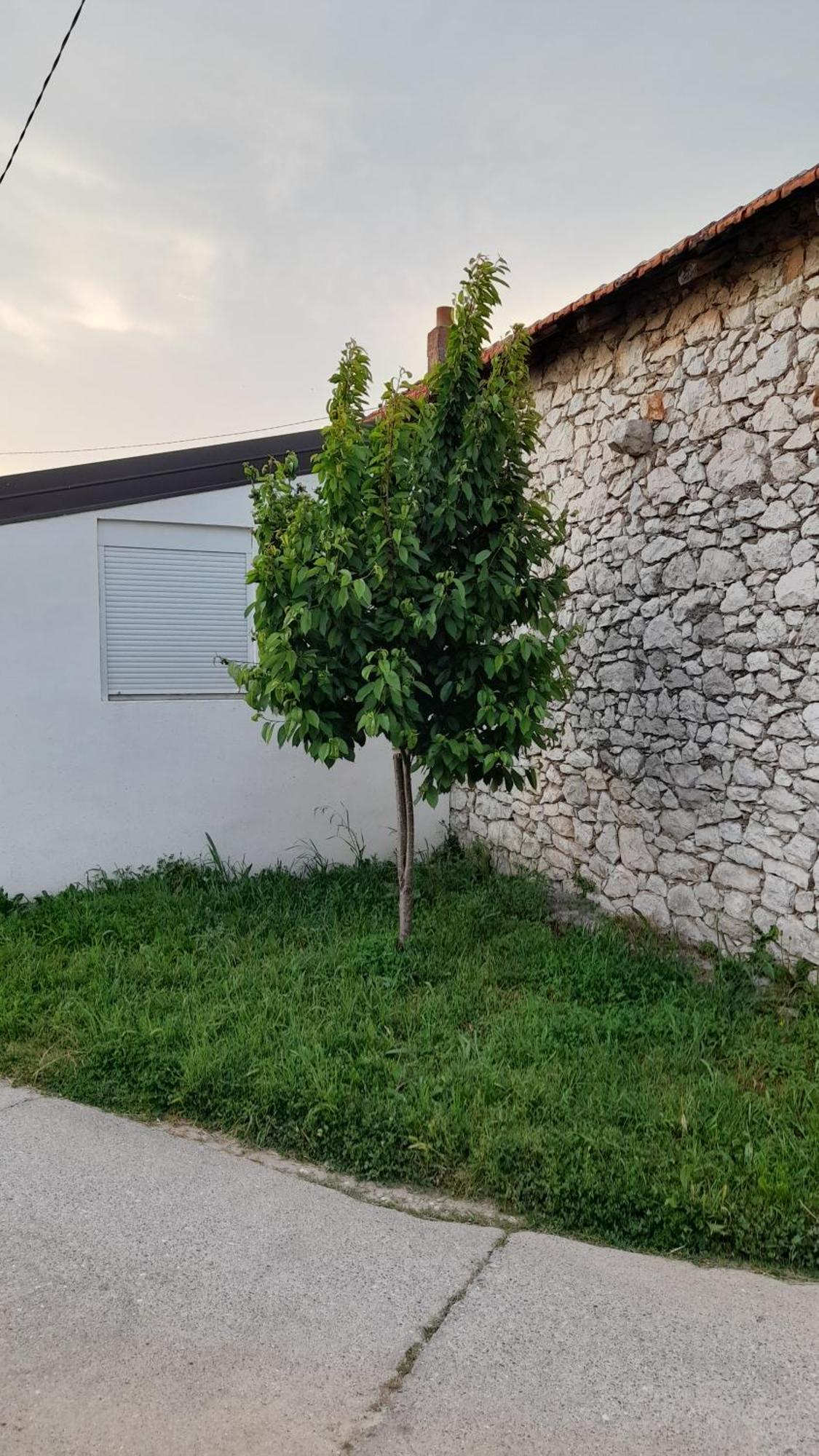 Ferienwohnung Kamena Kuca Family Rodin Čapljina Exterior foto